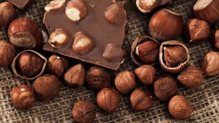 Best Chocolate With Hazelnut