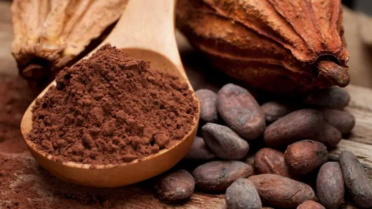 Cacao vs Cocoa: Understanding the Differences