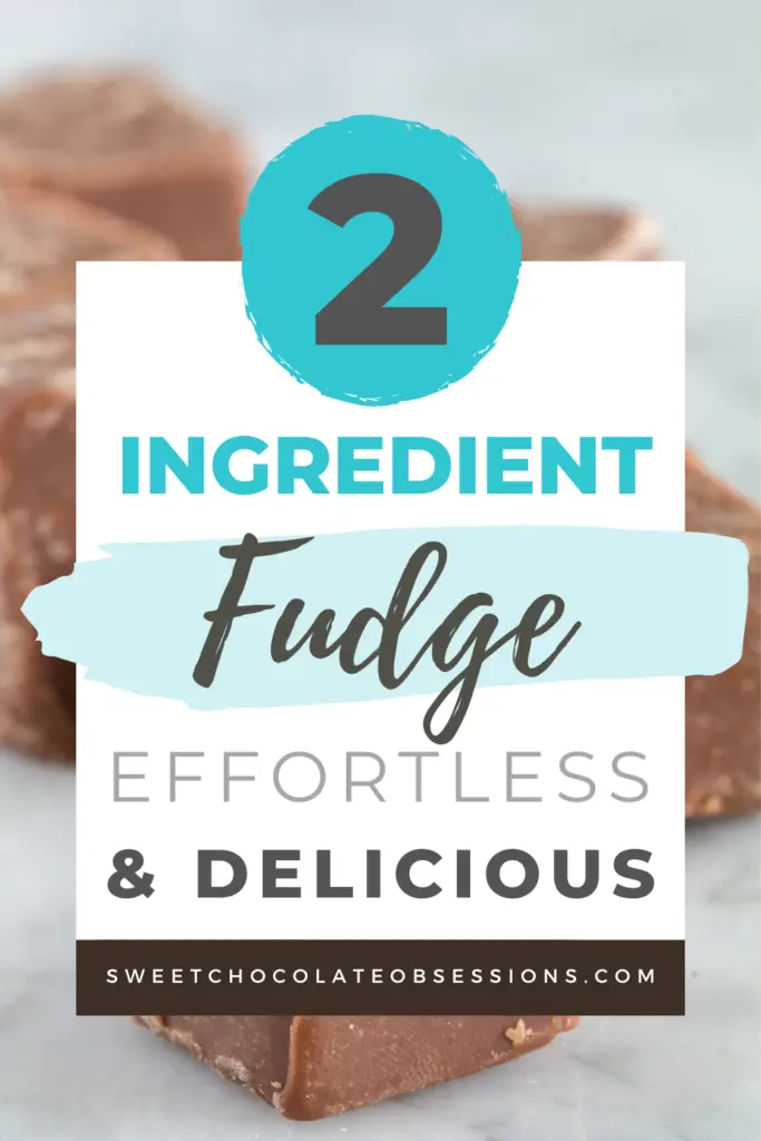 Next time you're in the mood for fudge, give this 2 Ingredient Fudge recipe a try. It's quick, easy, and oh-so-delicious. 